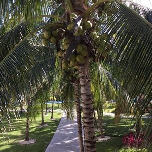 Meet your Posher, Jenifer